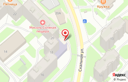Детская музыкальная школа №5 на Скальной улице на карте