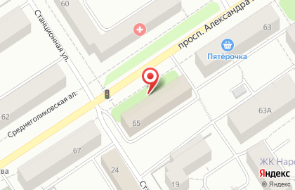 Охранное предприятие Фобос на проспекте Александра Невского на карте