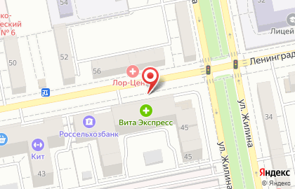 Янтарная лоза на улице Ленинградской на карте