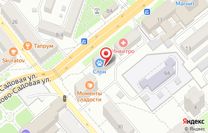 Ветеринарная клиника Слон на Ново-Садовой улице на карте