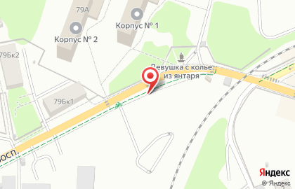 Автостоянка в Калининграде на карте
