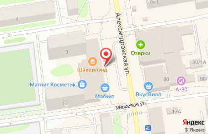 Туристическая компания Спутник на Александровской улице на карте