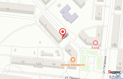 Зоомагазин Эдем на улице Рогачёва на карте