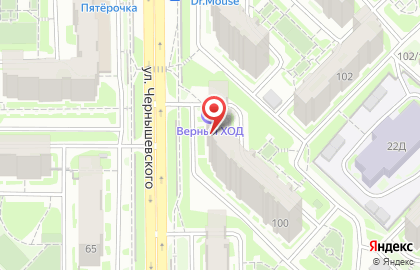 Зоомагазин 6 лап на улице Чернышевского на карте
