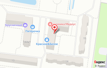 Клиника семейной медицины Медиус в Санкт-Петербурге на карте