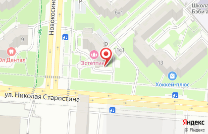 Центр красоты и коррекции фигуры Estettika на улице Николая Старостина на карте