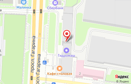 Кавер-шоу группа Елки-Palki на проспекте Гагарина на карте