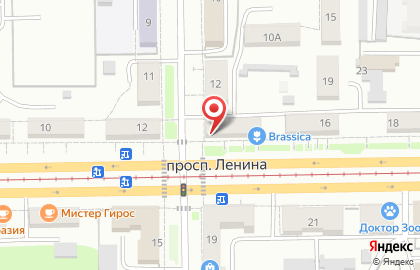 Компания Травы Алтая на карте