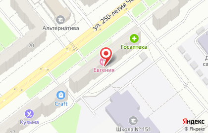 Продовольственный магазин на улице 250-летия Челябинска на карте