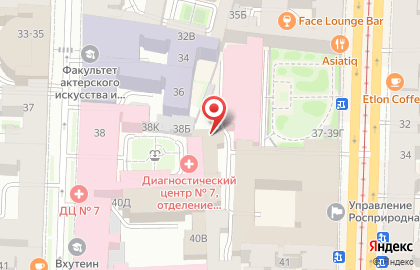 Санкт-Петербургский дворец музыкальной терапии и лечебного искусства инвалидов детей и инвалидов матерей Аревик на карте