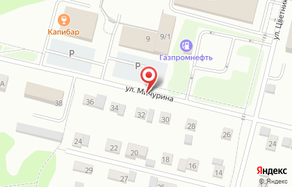 Детос на улице Мичурина на карте