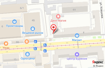 Магазин Зоомаркет в Челябинске на карте