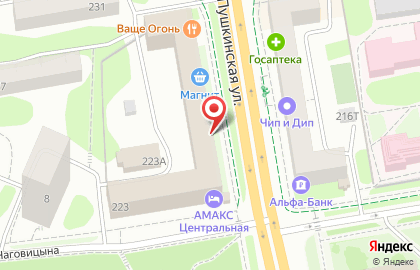 Папа-Лаваш на Пушкинской улице на карте