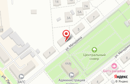 Лаборатория АльфаМед на улице Мичурина в Кимовске на карте