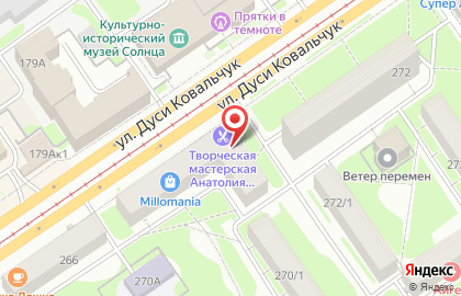 Дверная лавка на улице Дуси Ковальчук на карте