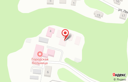 Плесская поликлиника на карте