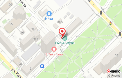 Торгово-перерабатывающая фирма Меридиан на карте