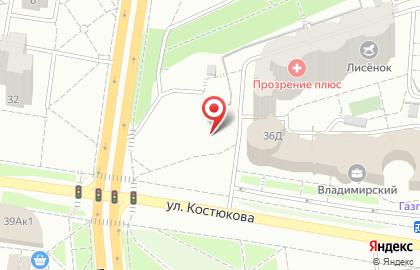 Зебра на улице Костюкова на карте