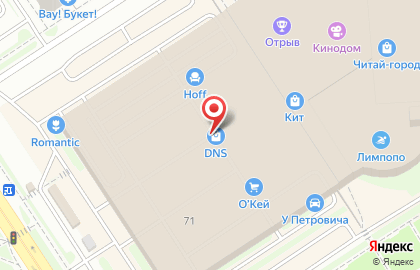 Супермаркет цифровой и бытовой техники DNS на Салмышской улице на карте