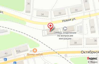 Территориальный отдел Министерства труда и социальной защиты Тульской области на Новой улице в Донском на карте