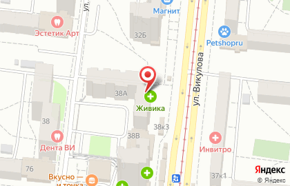 Аптека Живика на улице Викулова, 38А на карте