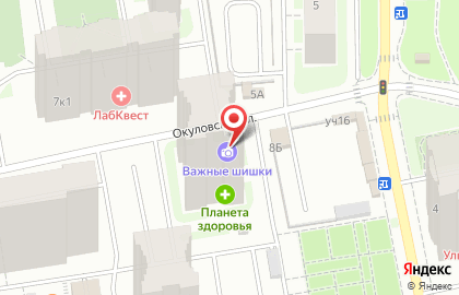 Фотомастерская Важные шишки на Окуловской улице на карте