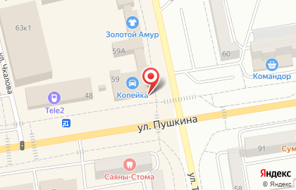 Свадебный салон Золотой Амур на улице Пушкина на карте