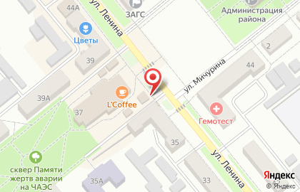 Магазин товаров для животных Зоомир на улице Ленина на карте