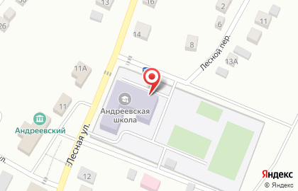 Средняя общеобразовательная школа в Лесном переулке на карте