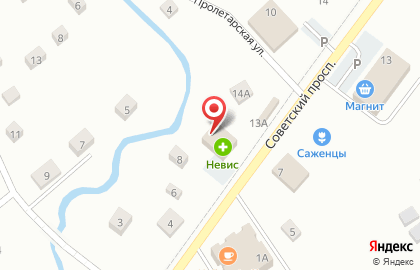 Магазин зоотоваров Косточка на карте