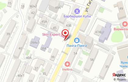 Эвкалипт на улице Гагарина на карте