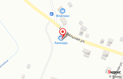 Для Вас на Центральной улице на карте
