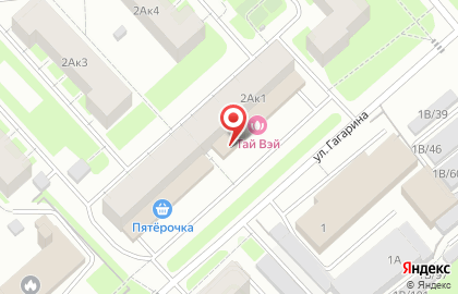 Аптека Панацея Плюс на улице Гагарина на карте