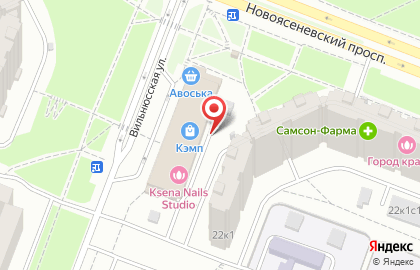 Магазин High Level Store на Вильнюсской улице на карте