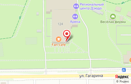 Кафе Арена на улице Гагарина на карте