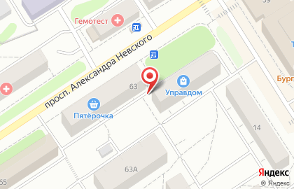 Магазин разливных напитков Бочонок на проспекте Александра Невского на карте