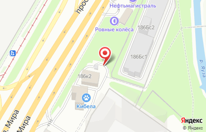 Антрон на карте
