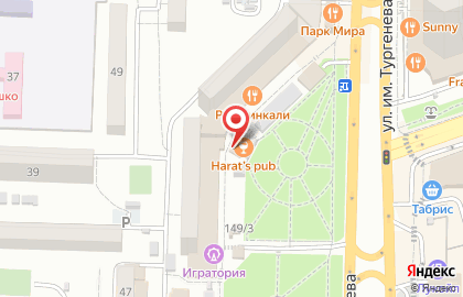 Ирландский паб Harat's Pub на улице Тургенева на карте