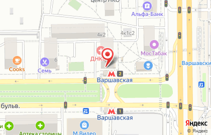 Аптека ифк Варшавская на карте