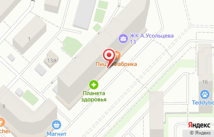 Магазин Пэтлайф на улице Александра Усольцева на карте