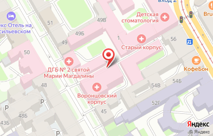 Детская больница №2 Святой Марии Магдалины в Василеостровском районе на карте