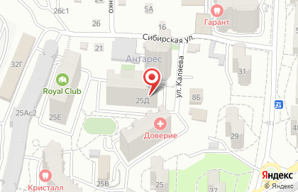 Кинологический и фелинологический клуб Королевский клуб в Советском районе на карте