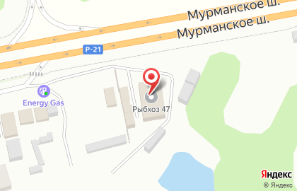 Двери России, окон и потолков на карте