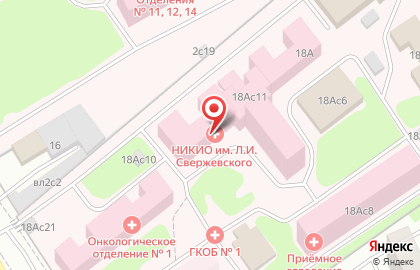 НИКИО им. Л.И. Свержевского на Загородном шоссе на карте