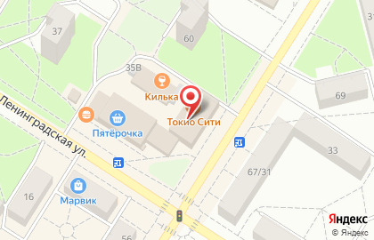 Ресторан китайской кухни Цзао Ван на Оранжерейной улице в Пушкине на карте