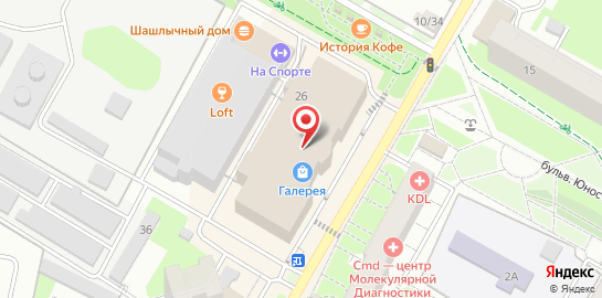 Ветеринарная клиника Ветпомощь Любимчик в Подольске на карте