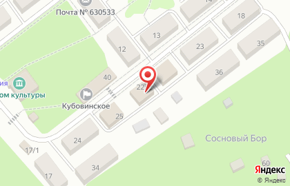 Продовольственный магазин на ул. Красный Яр пос, 22 к2 на карте