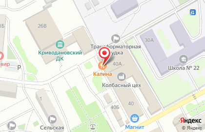 Продовольственный магазин Калина на Садовой улице на карте