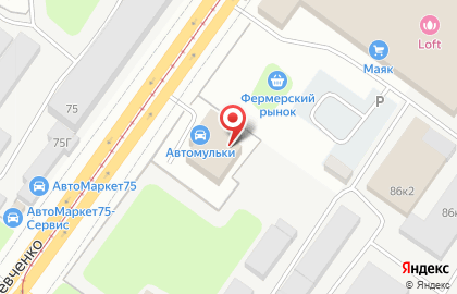 Торговый дом БерёзаКерамика на карте