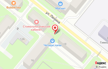 Магазин Четыре лапы на улице Ленина на карте